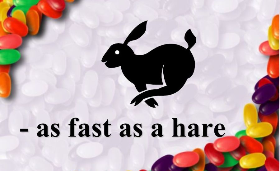 As Fast As a Thought: The Speed of Innovation 2 As Fast as a Hare
