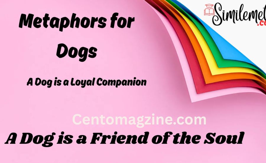 18 Metaphors For Dog 2 Dog-Eat-Dog World