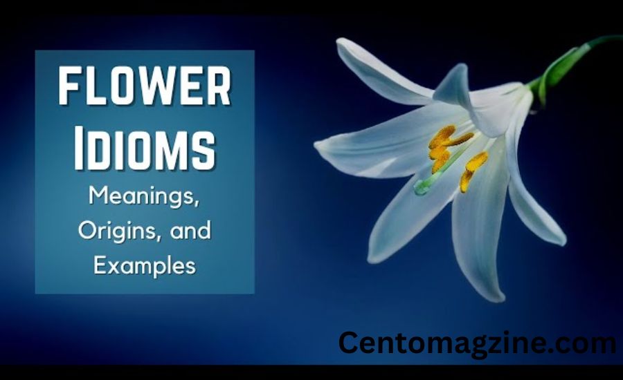 "Language in Full Bloom: The Charm and Meaning of Flower Idioms" 2 A Late Bloomer