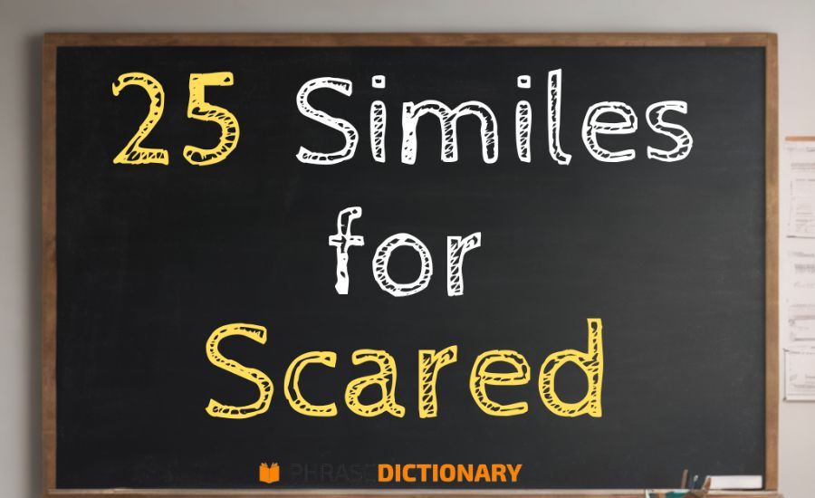 Simile For Scared typhoon, trapped, firework, caught & More 2 As threatened as a mouse in a snake’s den