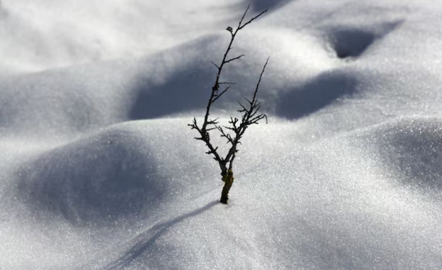 Snow Metaphors