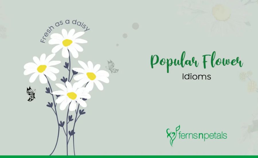 Flower Idioms