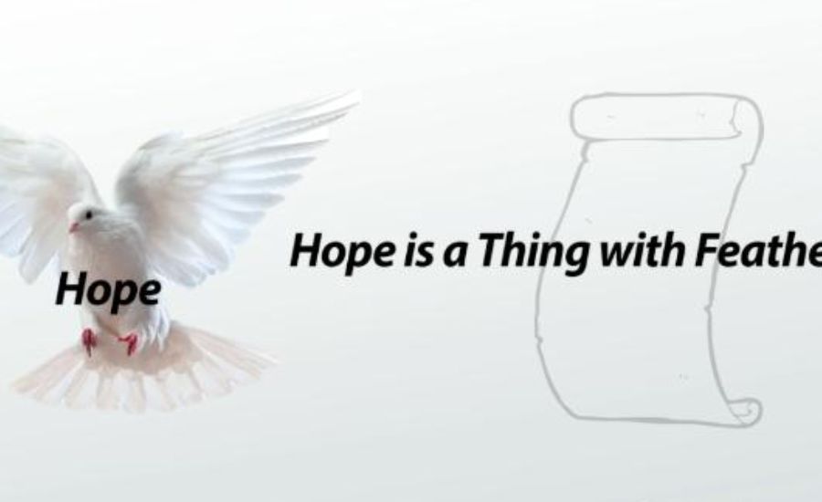20 Metaphors For Hope 2 Planting the Seeds of Change