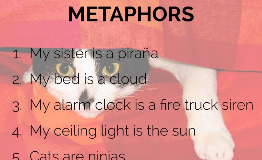 Cat Metaphors