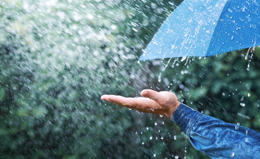 Like a Thousand Tiny Umbrellas