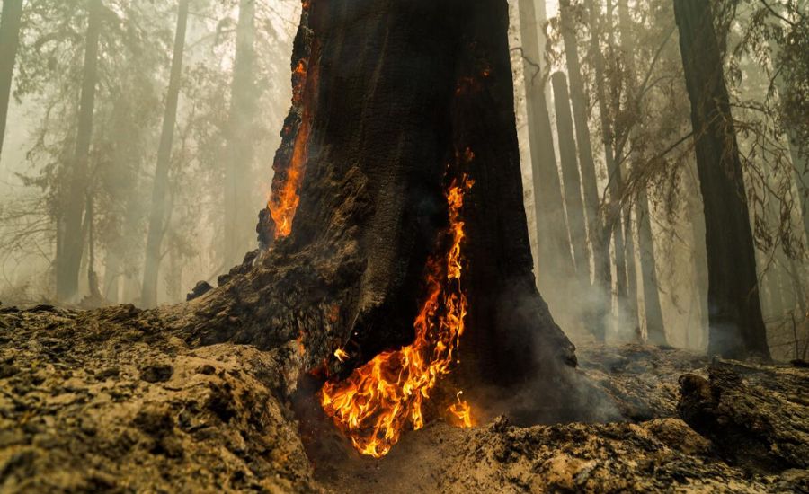 Metaphor For Fire