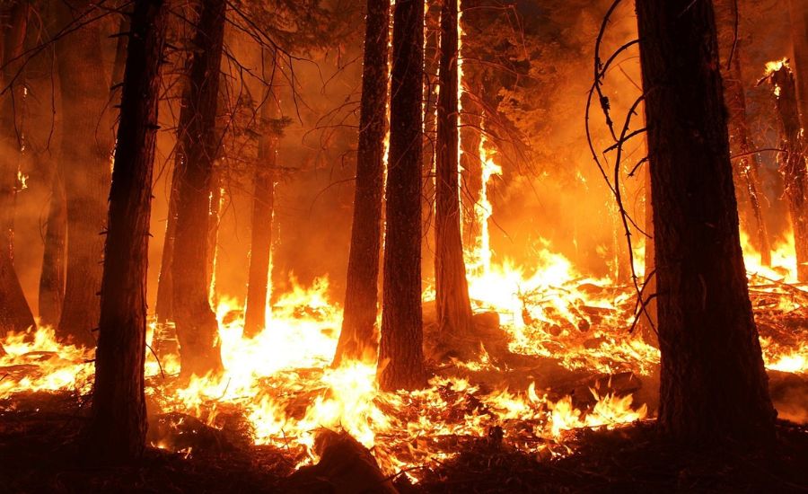 20 Metaphor For Fire 2 Fire as a Fearless Warrior